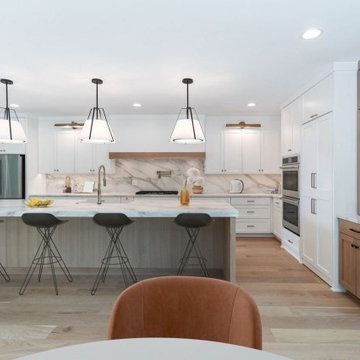 Modern Farmhouse Modified Hampton | Oak Bluff Estates Lemont, IL