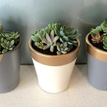 kristy_clark1's ideas