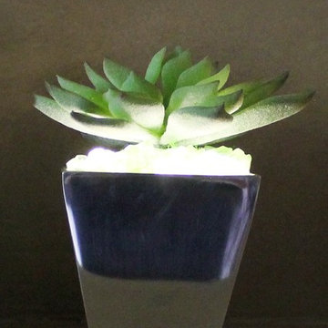 Lumiere - Illuaminated Succulents, Agave in Tapered Aluminum