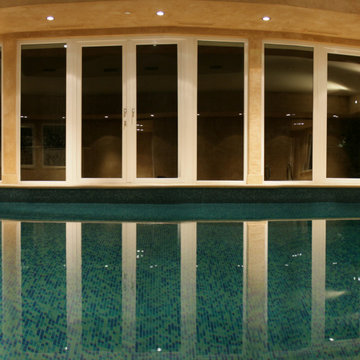 Residential Indoor Pool - Artisan Limestone Plaster