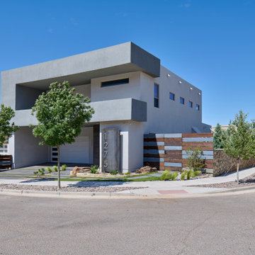 Contemporary Curb Appeal & Outdoor Living