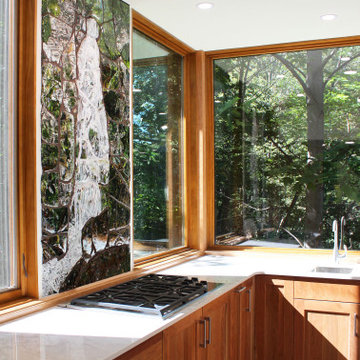 Kitchen View 7