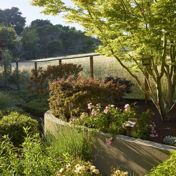 Perennial Splendor