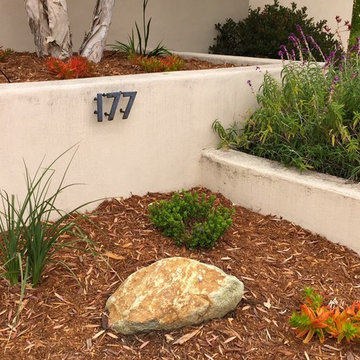 Canepa Front Yard