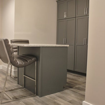 Lower Level Remodel With Home Bar, Spa-like Suite, Craft Room , and Home Gym