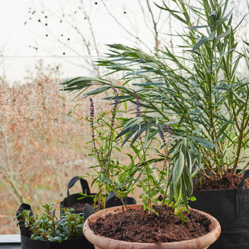 Grand balcon naturel