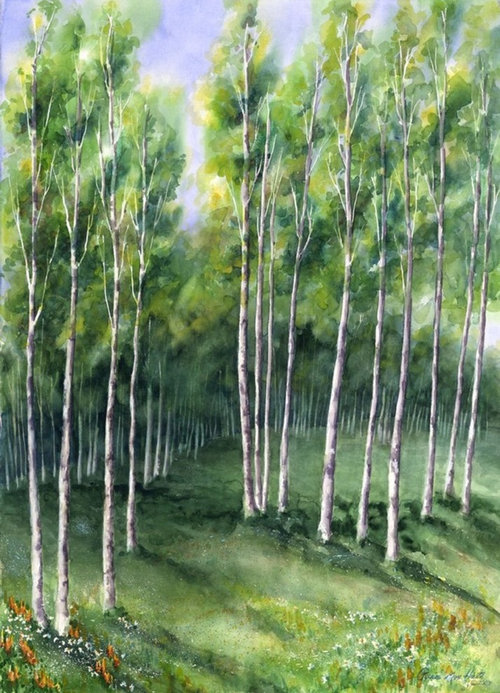 Need help choosing paint color!