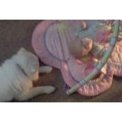 Kayla Marie's photo