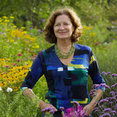 Julie Moir Messervy Design Studio (JMMDS)'s profile photo