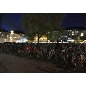 Antonella Tolotti's photo