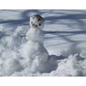 Wanda Woelke's photo