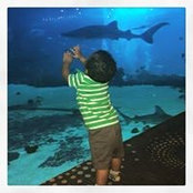 Camille Hannans's photo