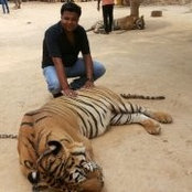 Dr.vijendra Morla's photo