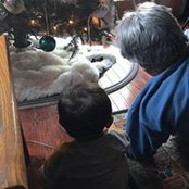 Maureen Mccabe's photo
