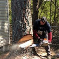 North Atlanta Tree Service's profile photo