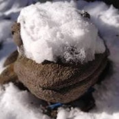 Danielle Green's photo