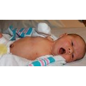 Joseph Stazzone's photo