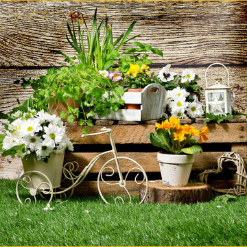 Landscape Great Plans, Great Ideas