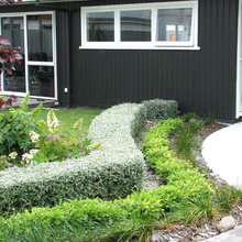 Landscape Ideas