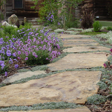 Carpinteria Front Lawn Replacement