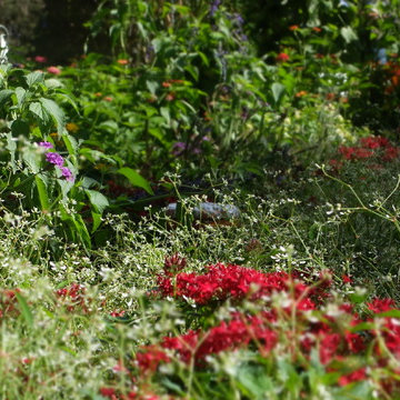 Jardin éphémère SERPENTIN