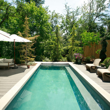 Modern Backyard Pool