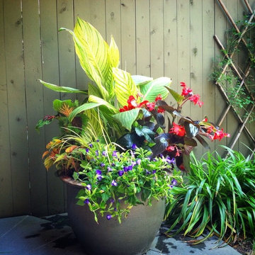 Annual Planters