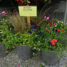 Planters