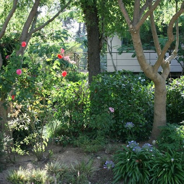 jardins