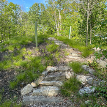 Stone steps leading to the vantage point atop the mound