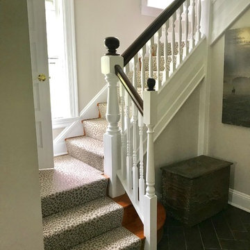 Animal Stairways