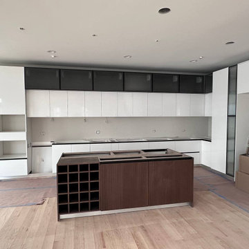 Custom Kitchen in Schaumburg
