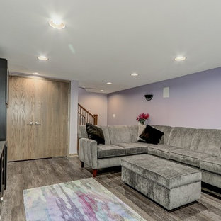 Inspiration for a small traditional fully buried basement in Chicago with purple walls, vinyl flooring, no fireplace and brown floors.