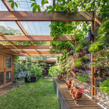 24 Riverine Landscape Ideas