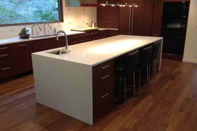 Kitchen - contemporary kitchen idea in Richmond