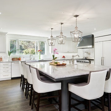 Contemporary Kitchen Renovation