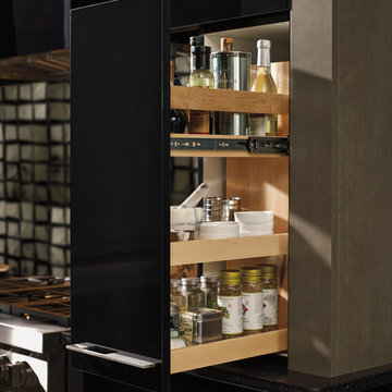Pull Out Wall Spice Rack