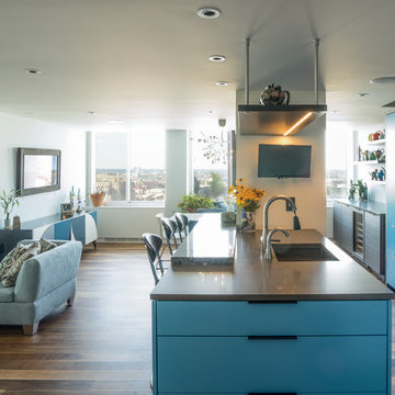 Hopkinson House Penthouse