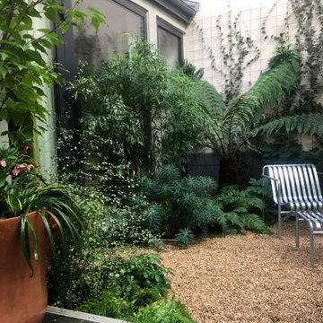 Aménagement paysager d'un patio à Paris