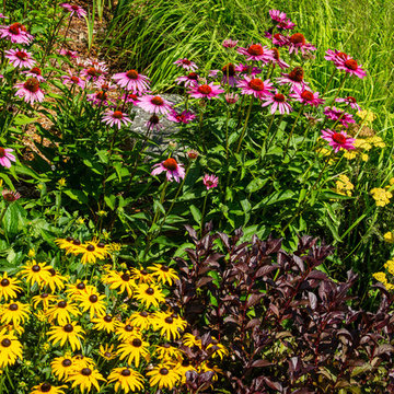 Landscape Design - Plant Combinations