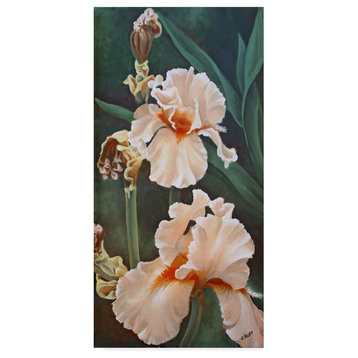 Carol J Rupp 'Peach Beauty' Canvas Art, 12"x24"