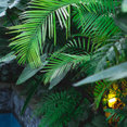 Feature Landscapes Ltd's profile photo
