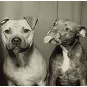 Becky Sierp's photo