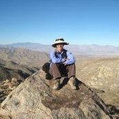 Barbara Stein's photo