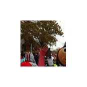 Mark Webb's photo