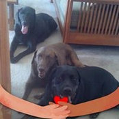 Jody Sandwisch's photo