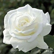 Marsha Edwards's photo