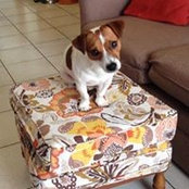 Mila Jaramillo's photo