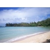 Marian Cohen's photo