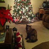 Carol Jablonski's photo
